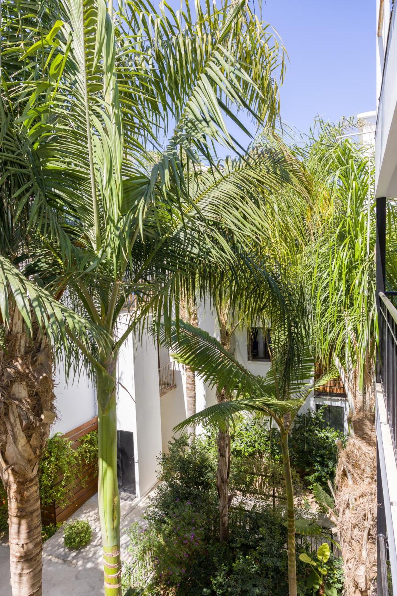 Alecos Hotel Apartments Paphos Exterior foto